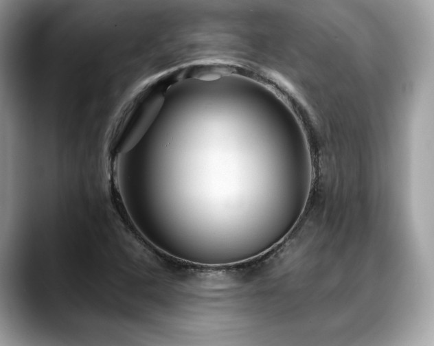 X0000088731408200705311420
