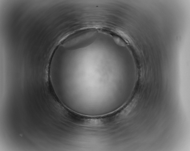 X0000088731409200705311420