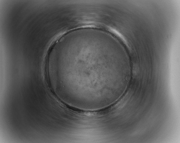 X0000088731411200705311420