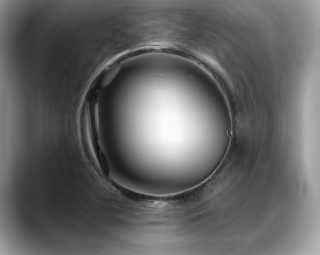 X0000088731412200705311420