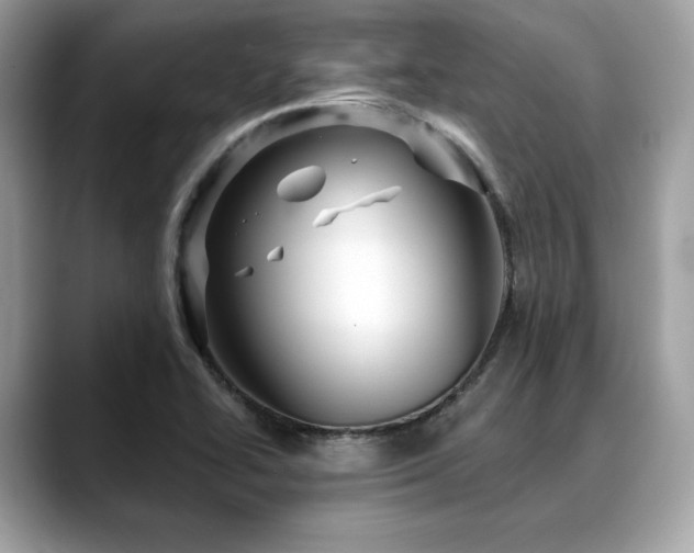 X0000088731414200705311420