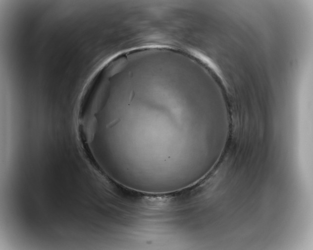 X0000088731415200705311420