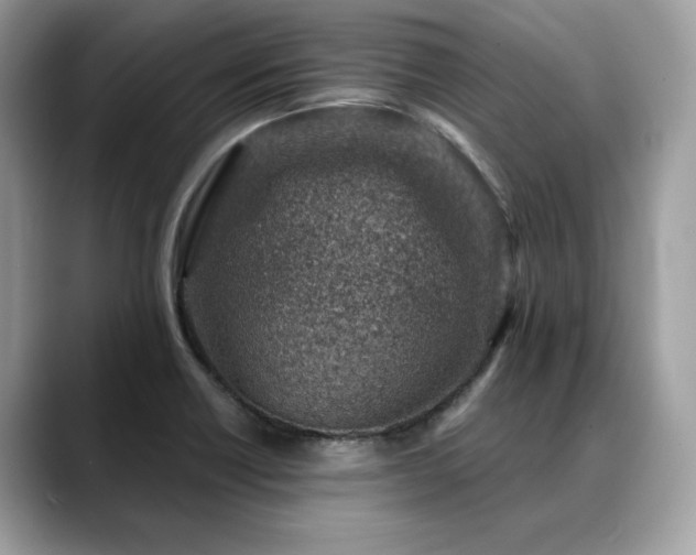X0000088731418200705311420