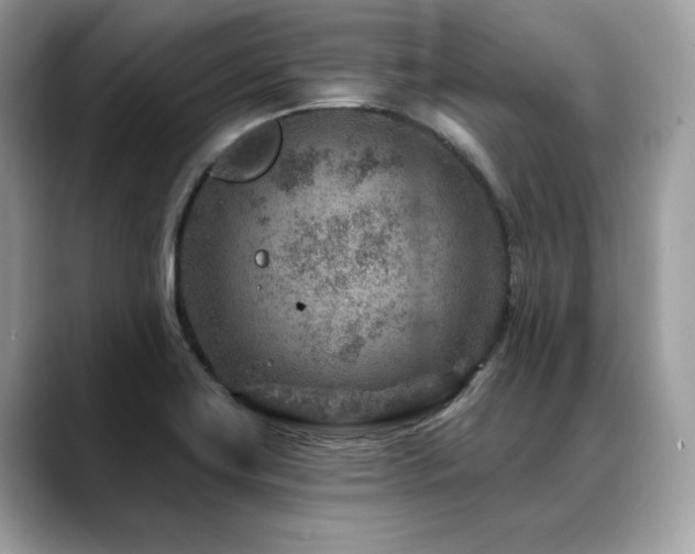 X0000088731419200705311420