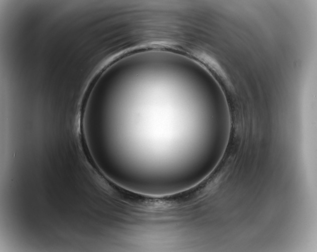 X0000088731420200705311420