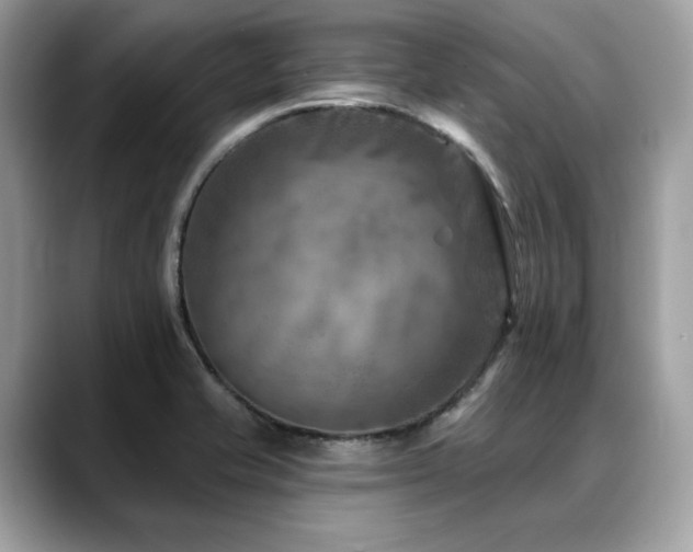 X0000088731421200705311420