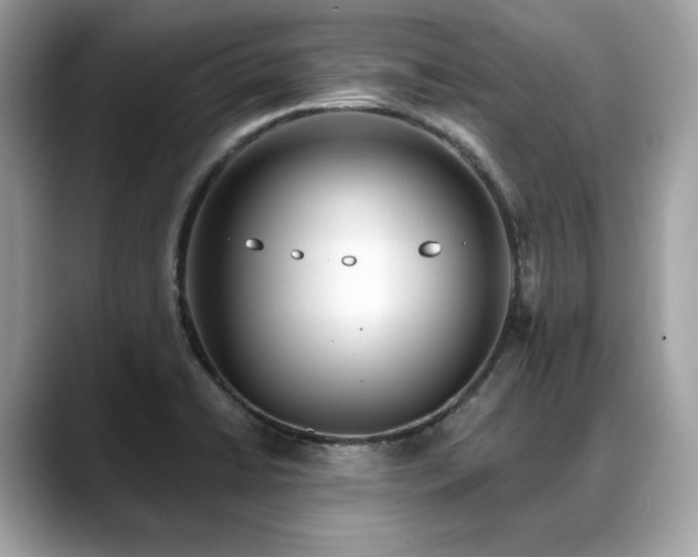 X0000088731422200705311420