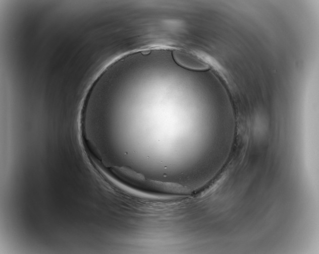 X0000088731423200705311420