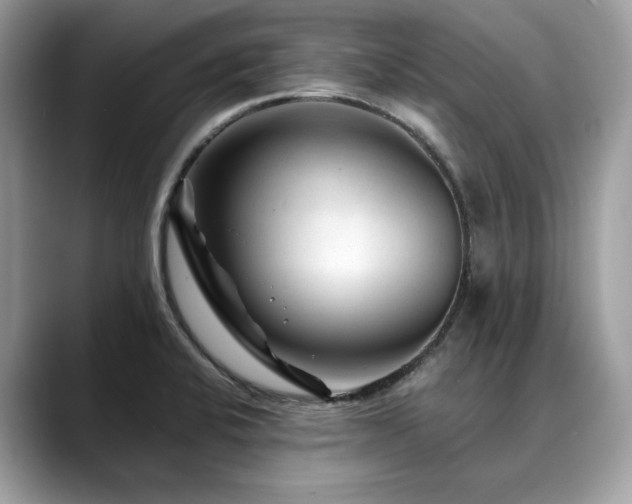 X0000088731424200705311420