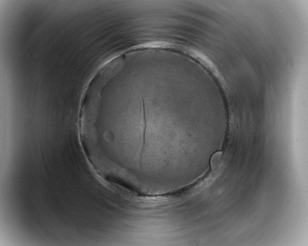 X0000088731425200705311420