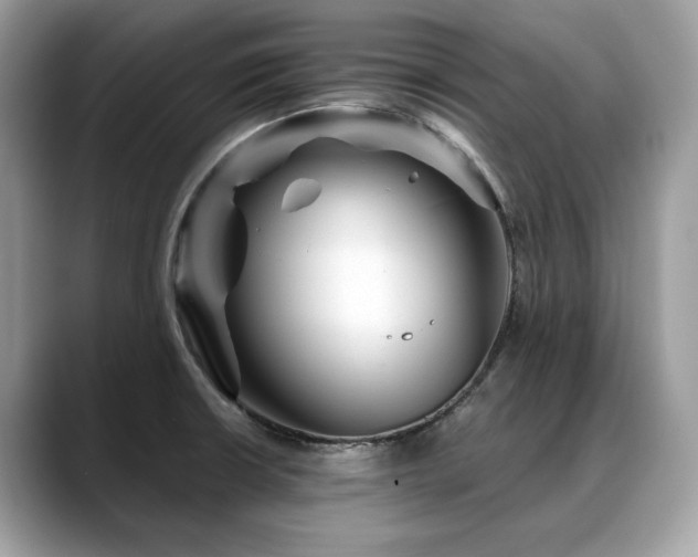X0000088731426200705311420
