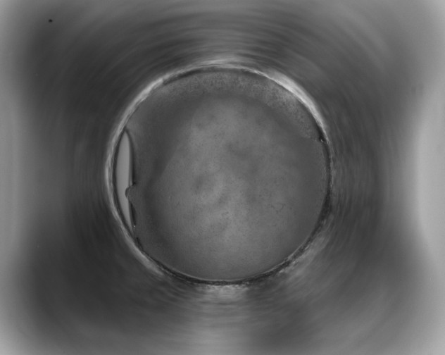 X0000088731429200705311420