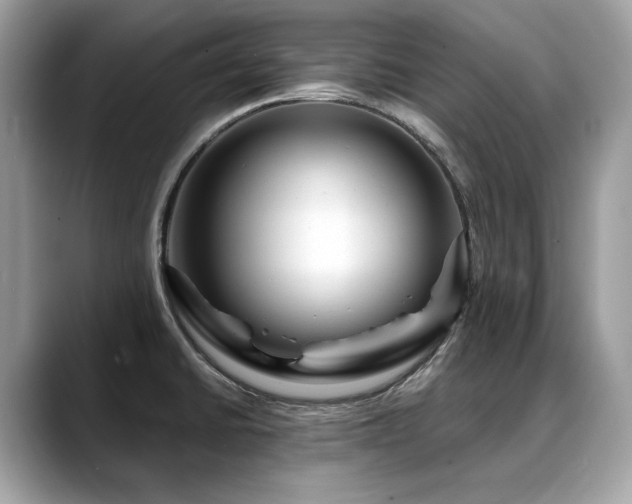 X0000088731430200705311420