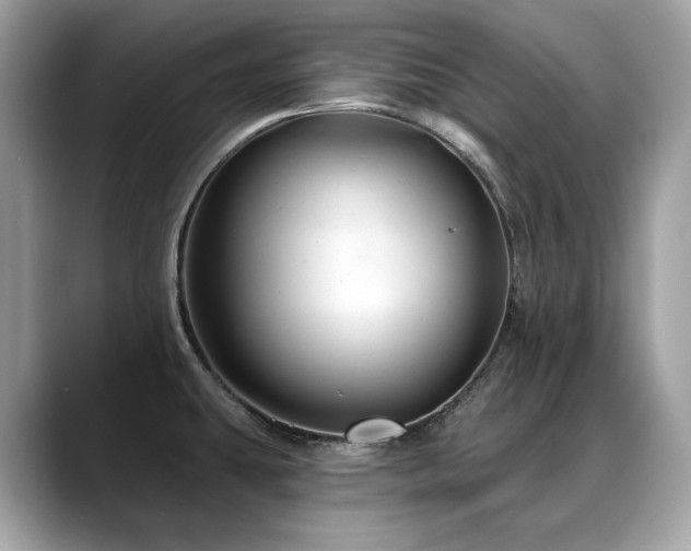 X0000088731431200705311421