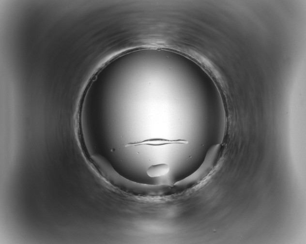 X0000088731432200705311421