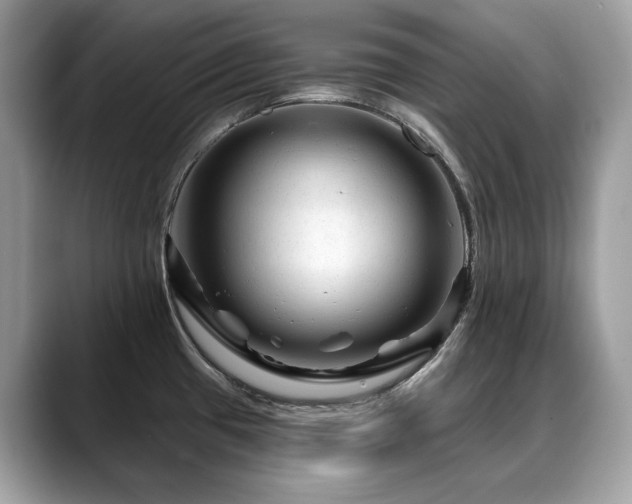 X0000088731433200705311421