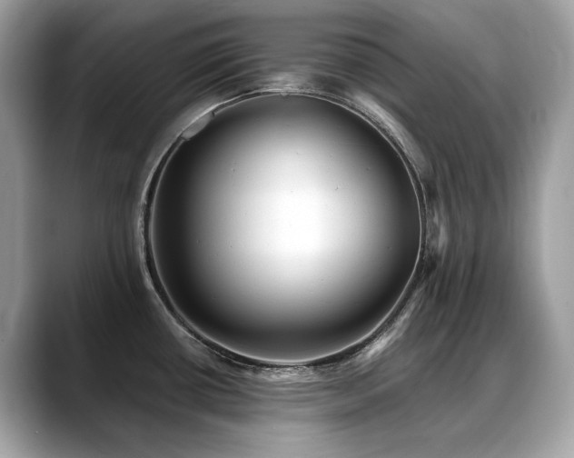 X0000088731434200705311421