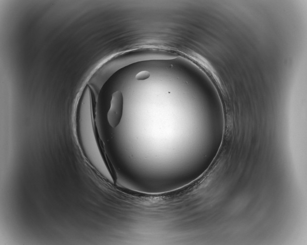 X0000088731435200705311421