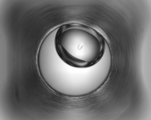 X0000088731436200705311421
