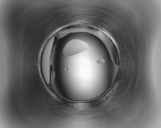 X0000088731437200705311421