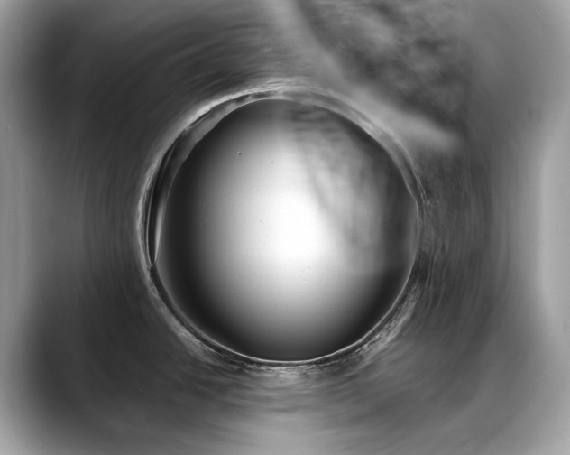 X0000088731438200705311421