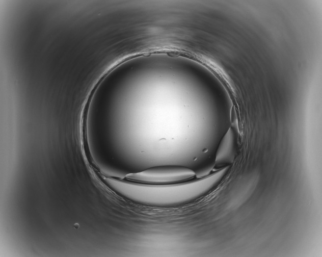 X0000088731439200705311421