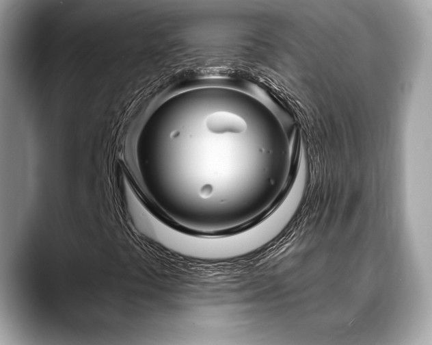 X0000088731441200705311420