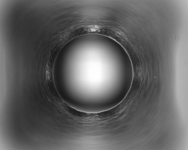 X0000088731442200705311420