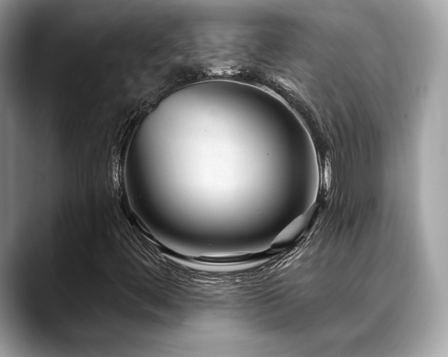 X0000088731444200705311420