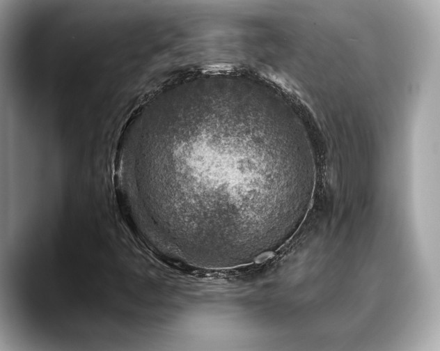 X0000088731445200705311420