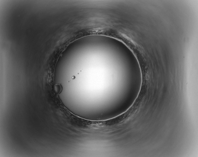 X0000088731447200705311420