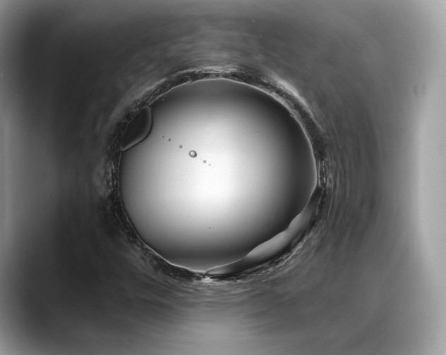 X0000088731448200705311420