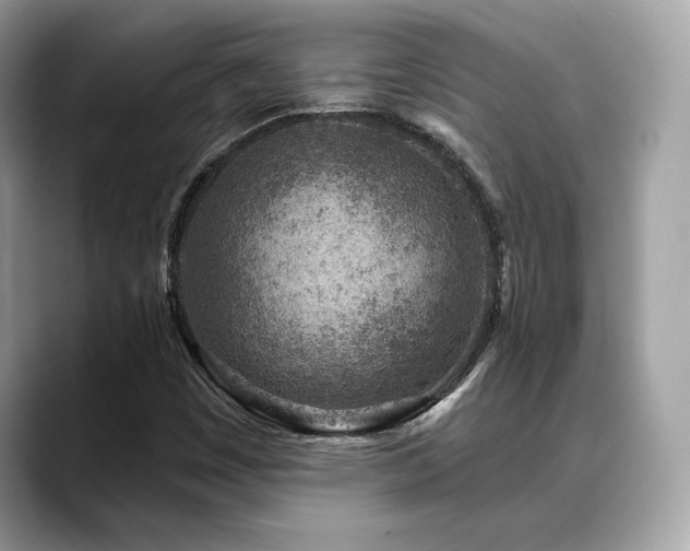 X0000088731449200705311420
