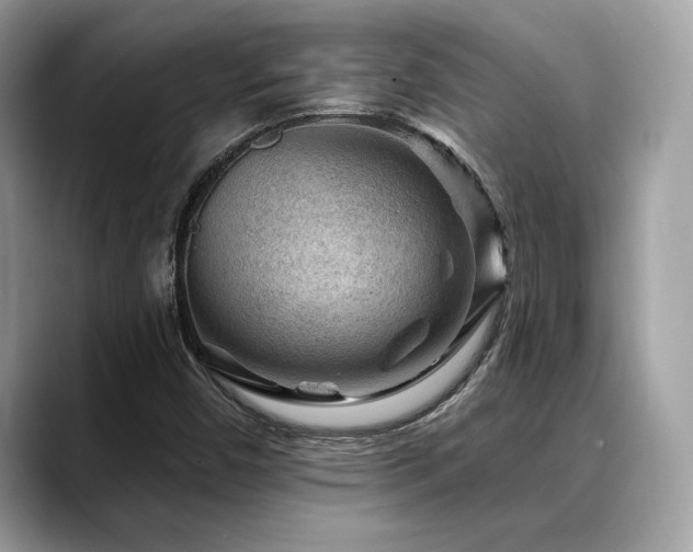 X0000088731450200705311420