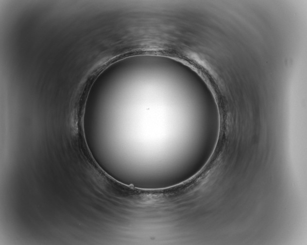 X0000088731451200705311420