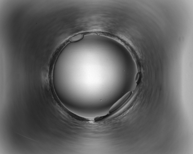 X0000088731452200705311420