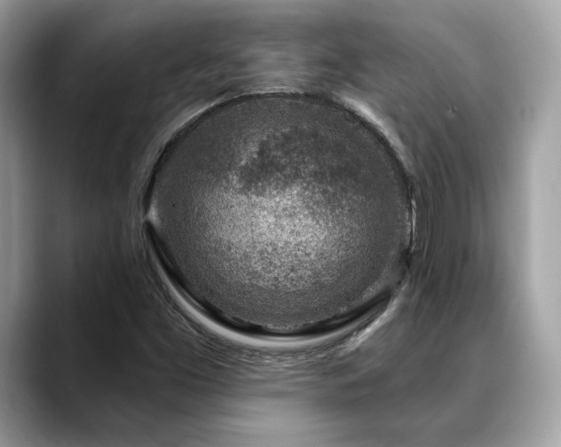 X0000088731453200705311420