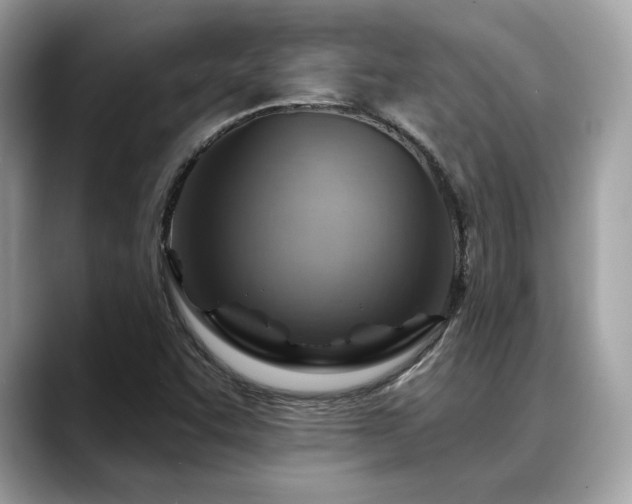 X0000088731455200705311420