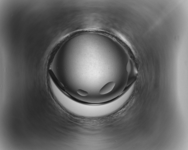 X0000088731456200705311420