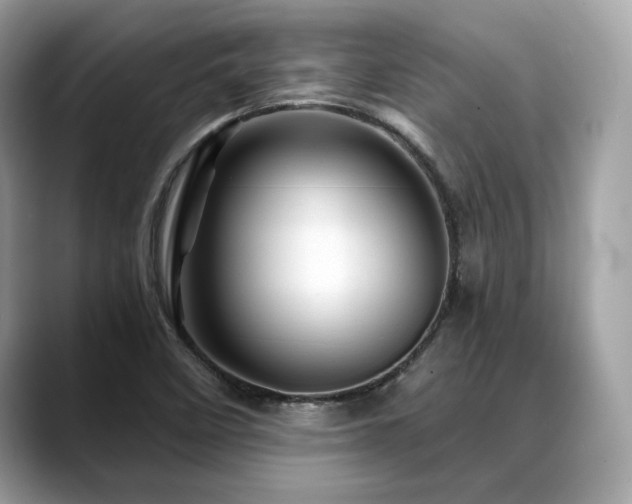 X0000088731458200705311420