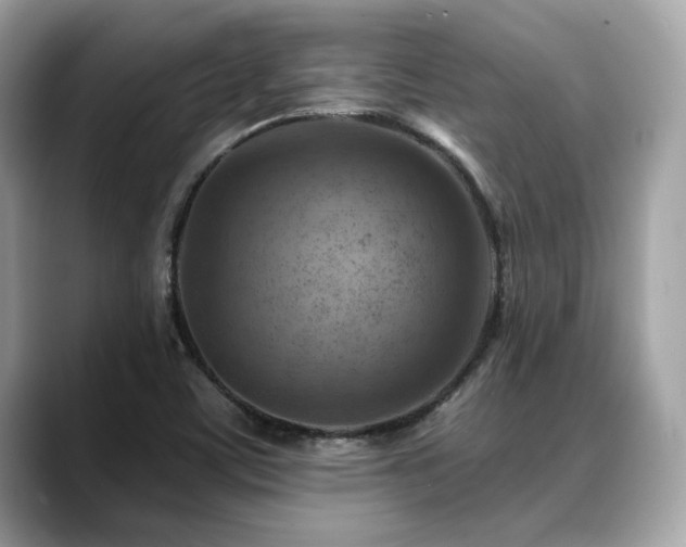 X0000088731459200705311420