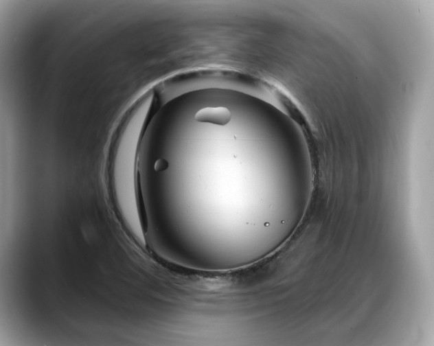 X0000088731460200705311420