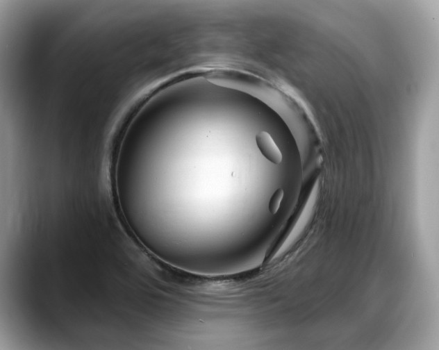 X0000088731464200705311420