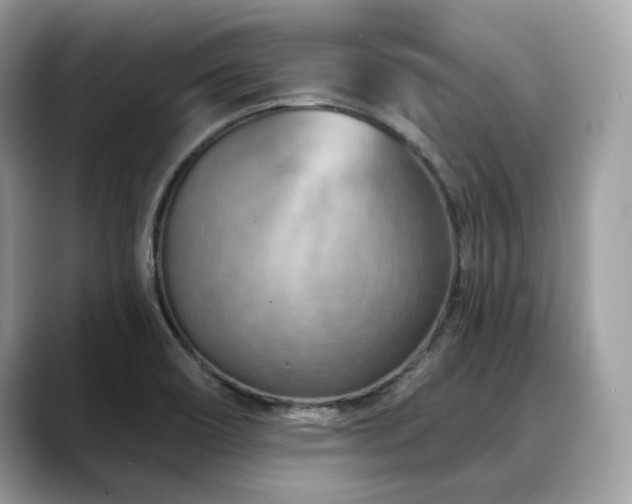 X0000088731466200705311420