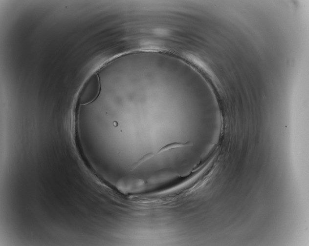 X0000088731467200705311420
