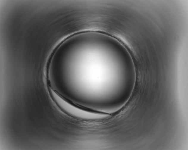 X0000088731468200705311420