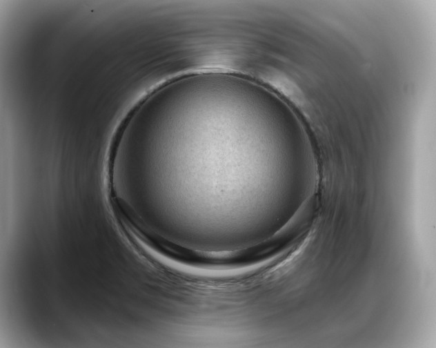 X0000088731469200705311420