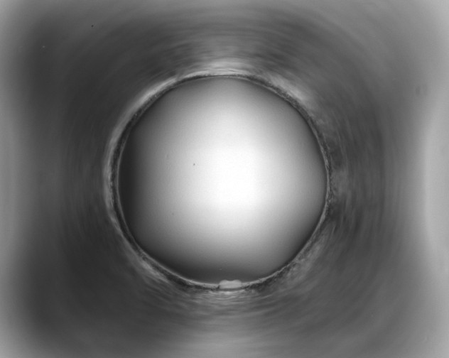 X0000088731470200705311420