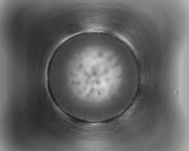 X0000088731471200705311420