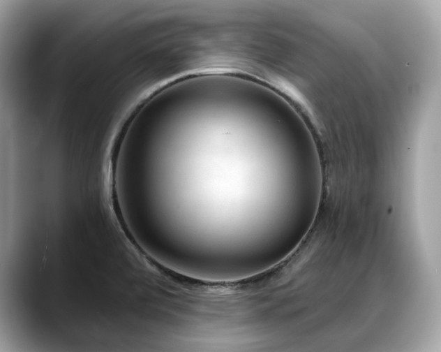 X0000088731472200705311420
